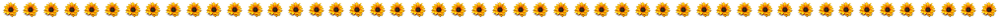Trennlinie Trennlinie - Sonnenblumen